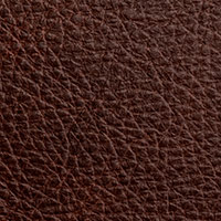 Chestnut 2560