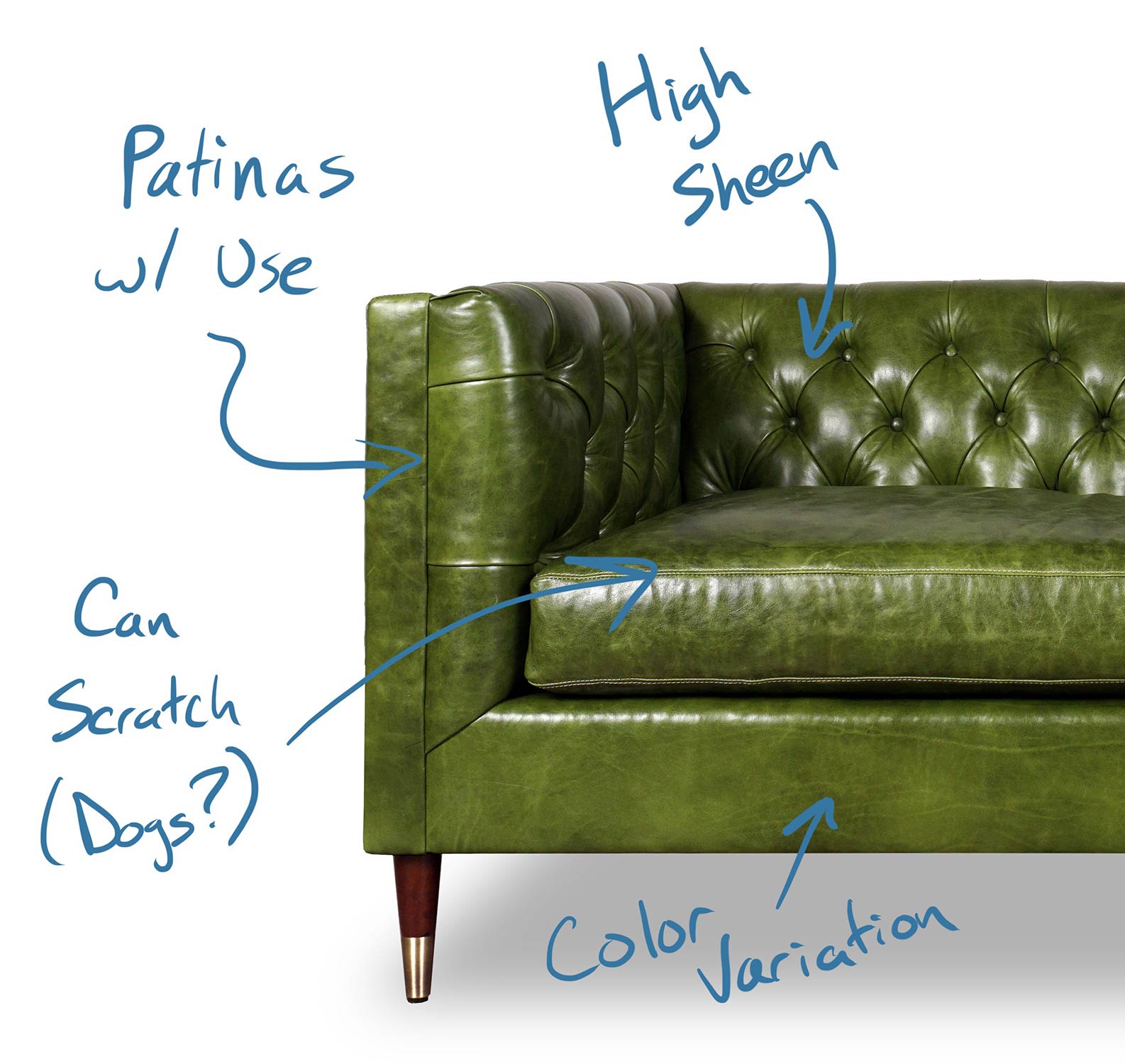 Photo of sofa with swatch elements highlighted