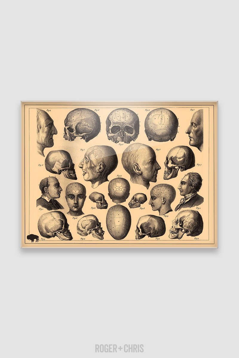 Small Utility Board, Creepy Heads