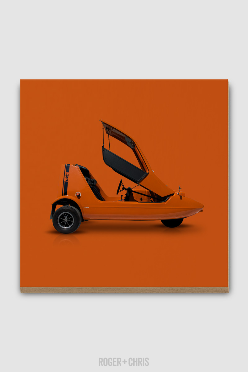 Bond Bug Microcar Plywood Print