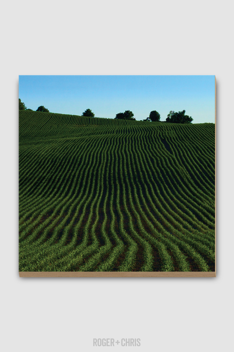 Spring Fields Plywood Print