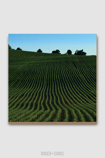 Spring Fields print