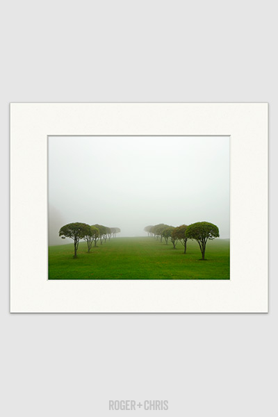 Foggy Field print