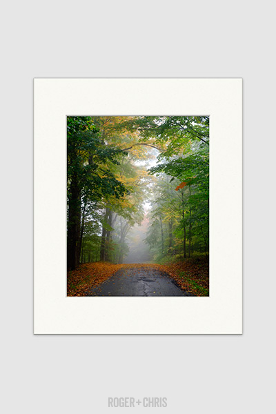 Seasonal Road Autumn print
