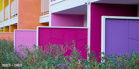 Privacy walls in the courtyard