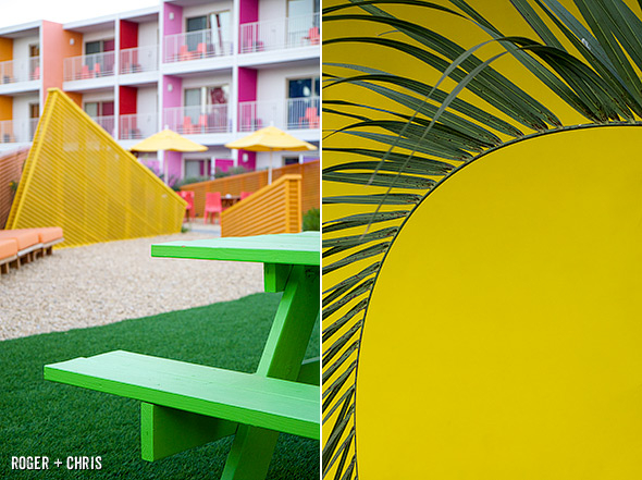 Courtyard decor and plant life