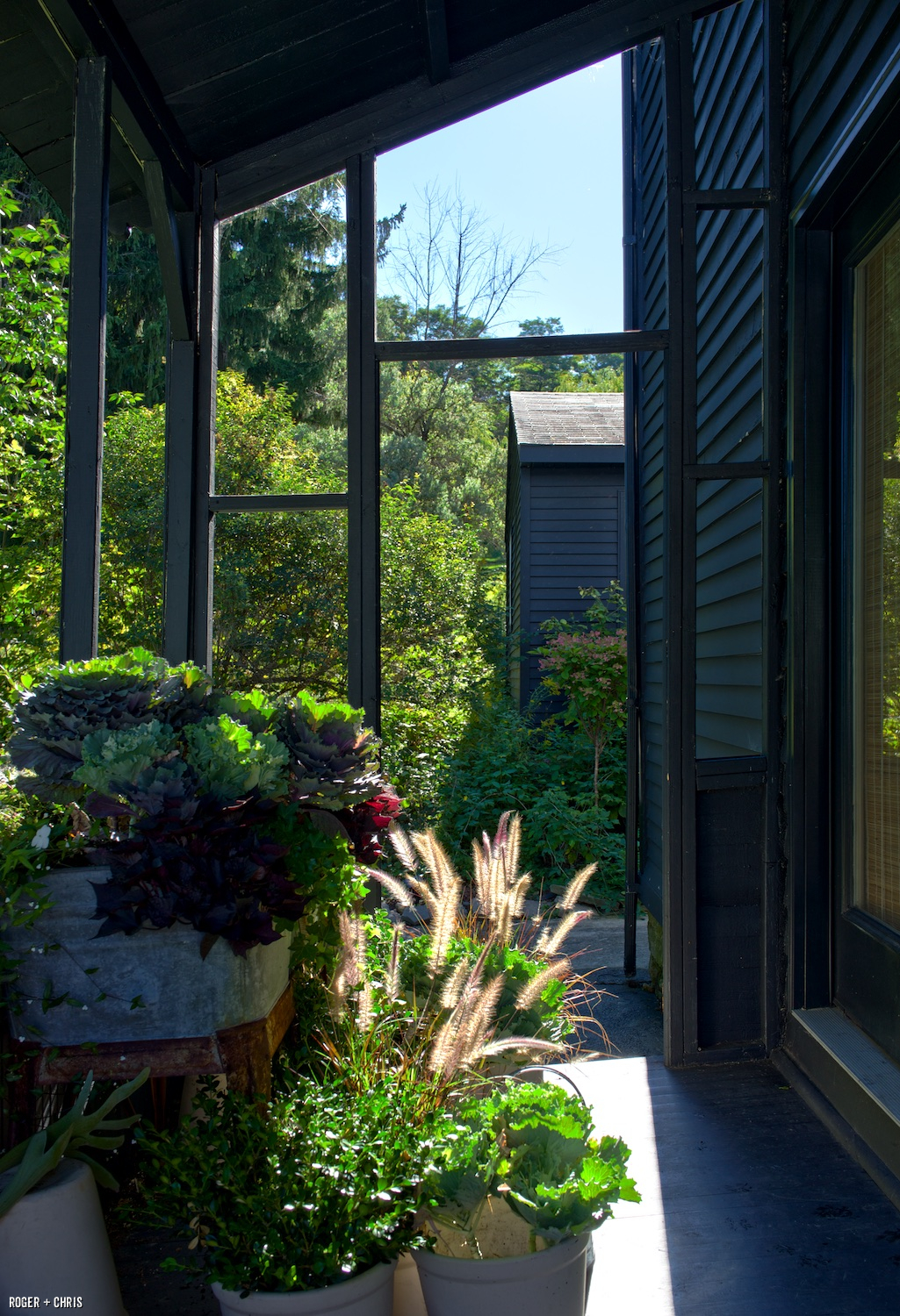 Back porch garden.