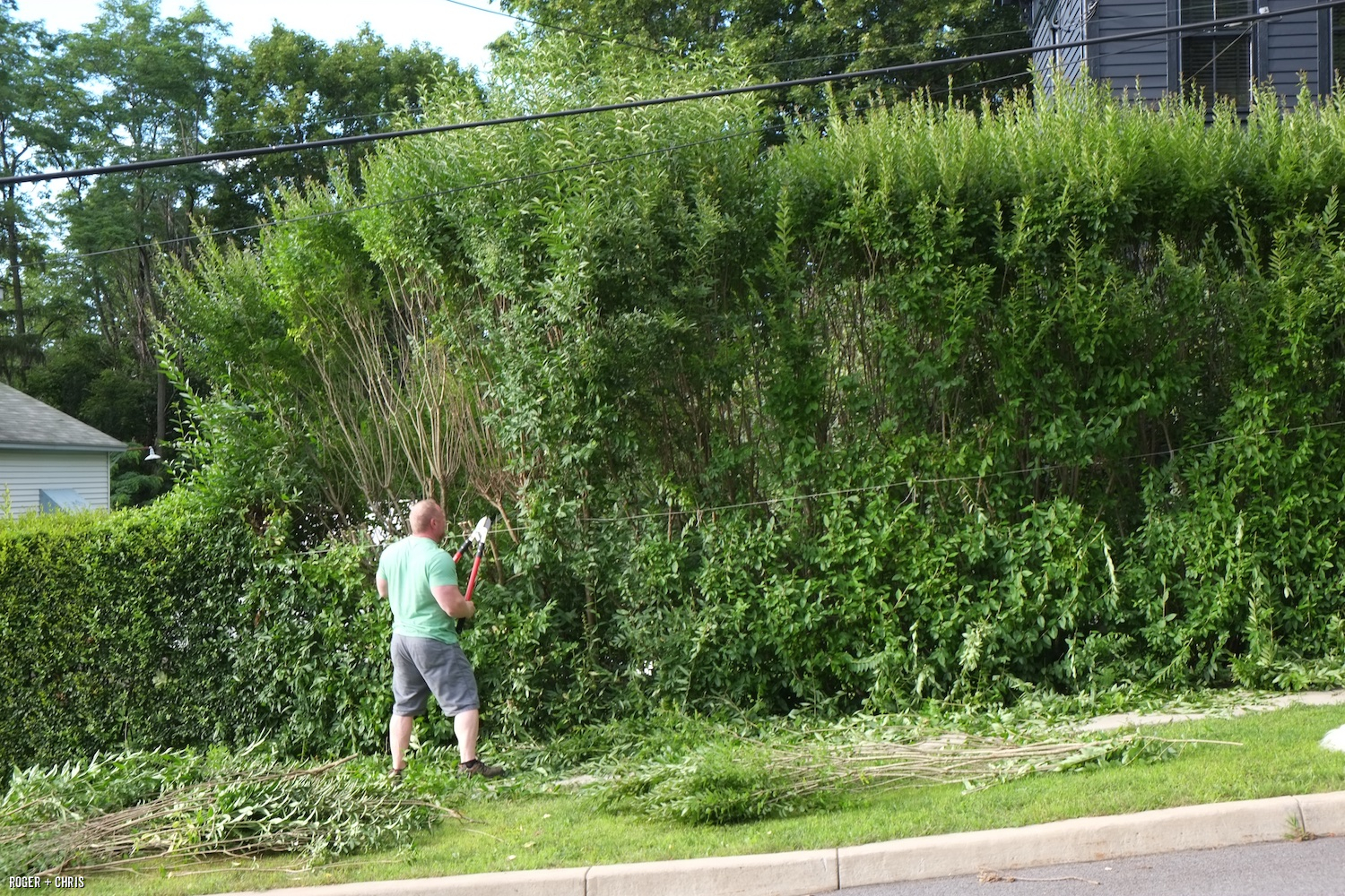 Roger tames the hedge.