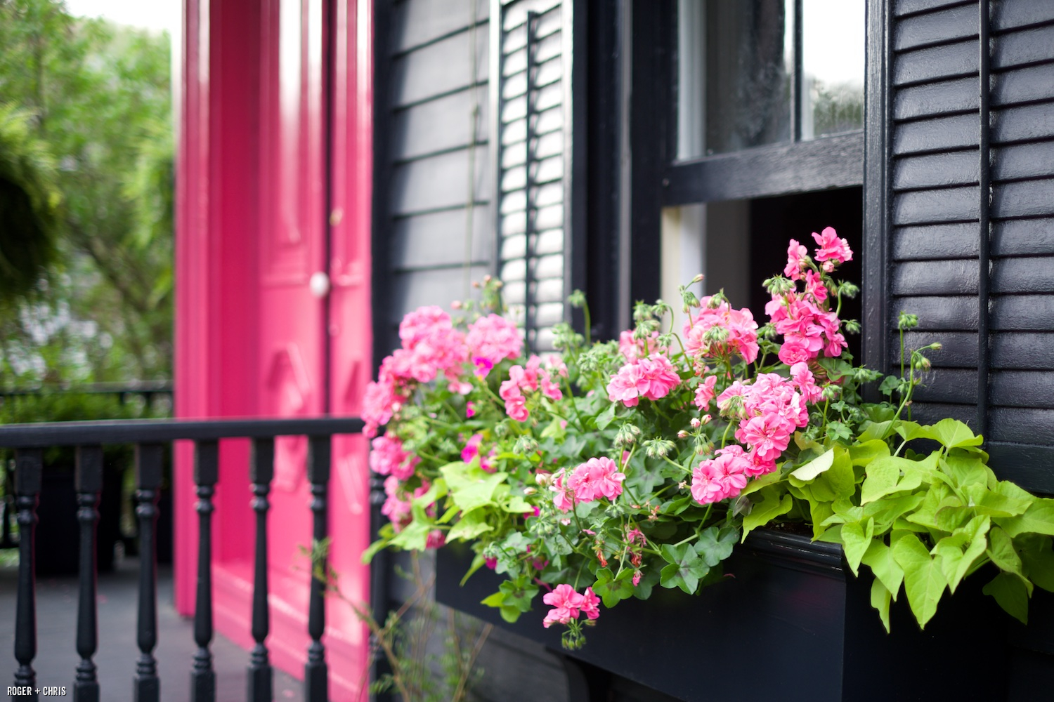 Planter boxes.