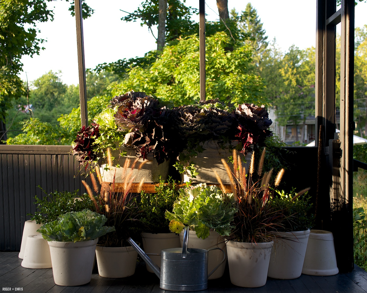 Planter garden on the back porch.