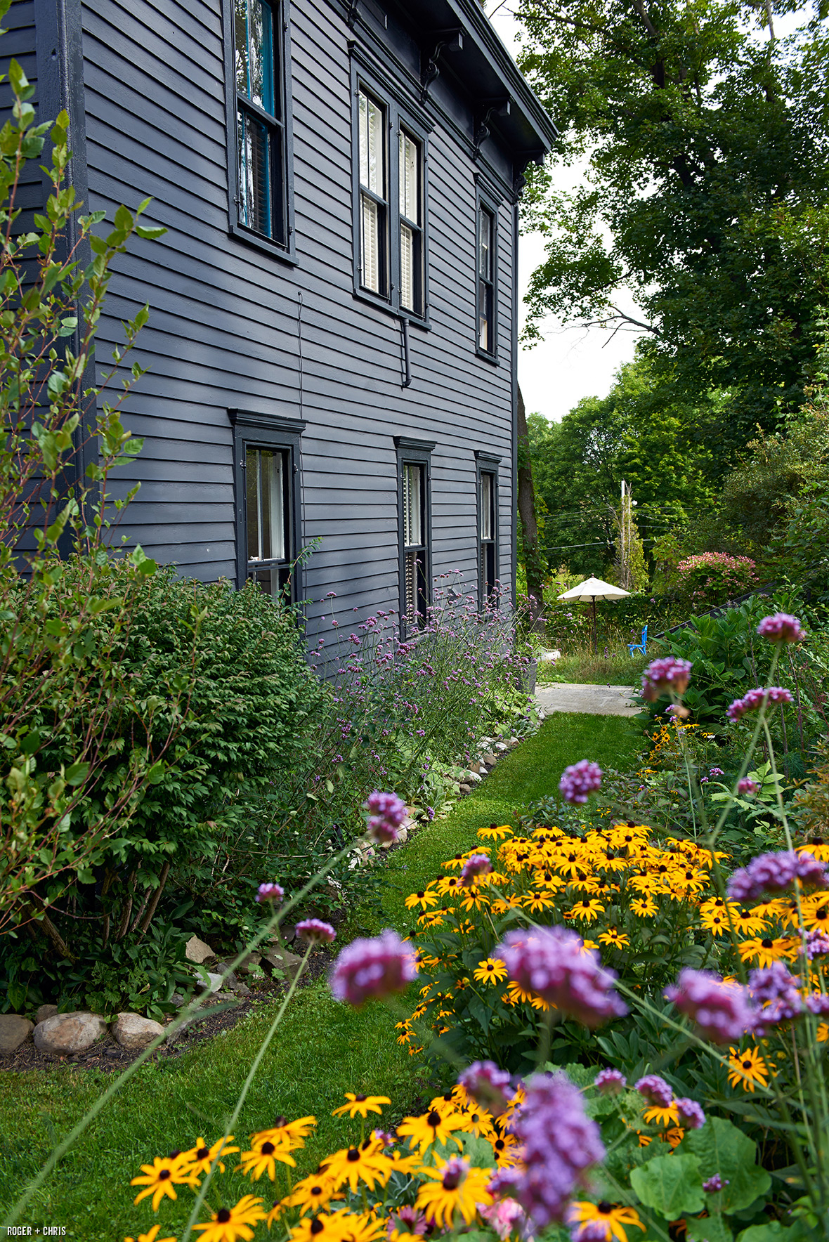 Side yard wildflowers. Photo by Alec Hemer.